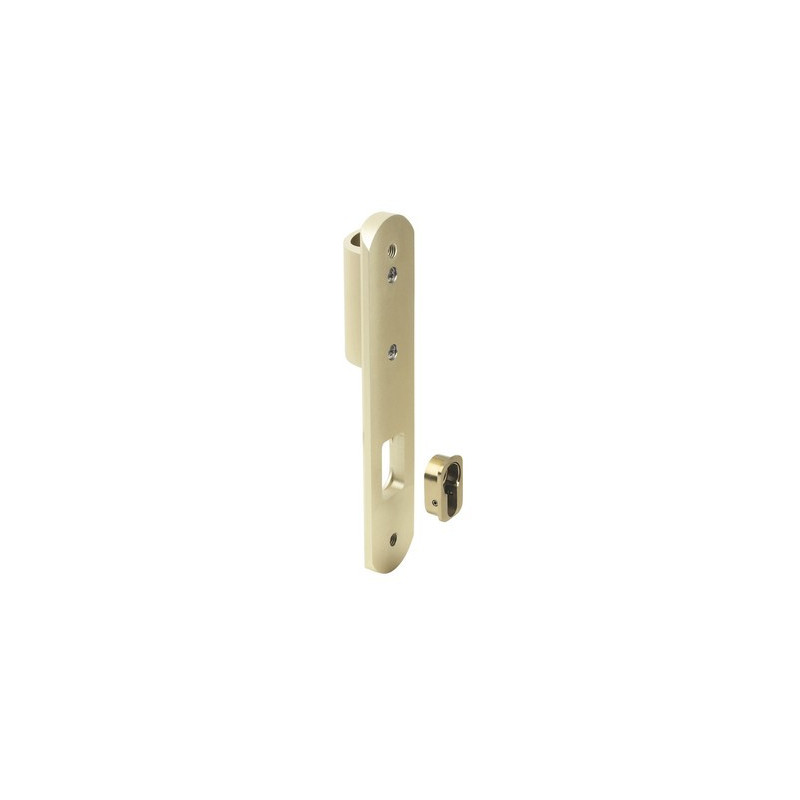 Ensemble sur plaque blindé à tirage EA195 SECUMAX - BEZAULT ASSA ABLOY