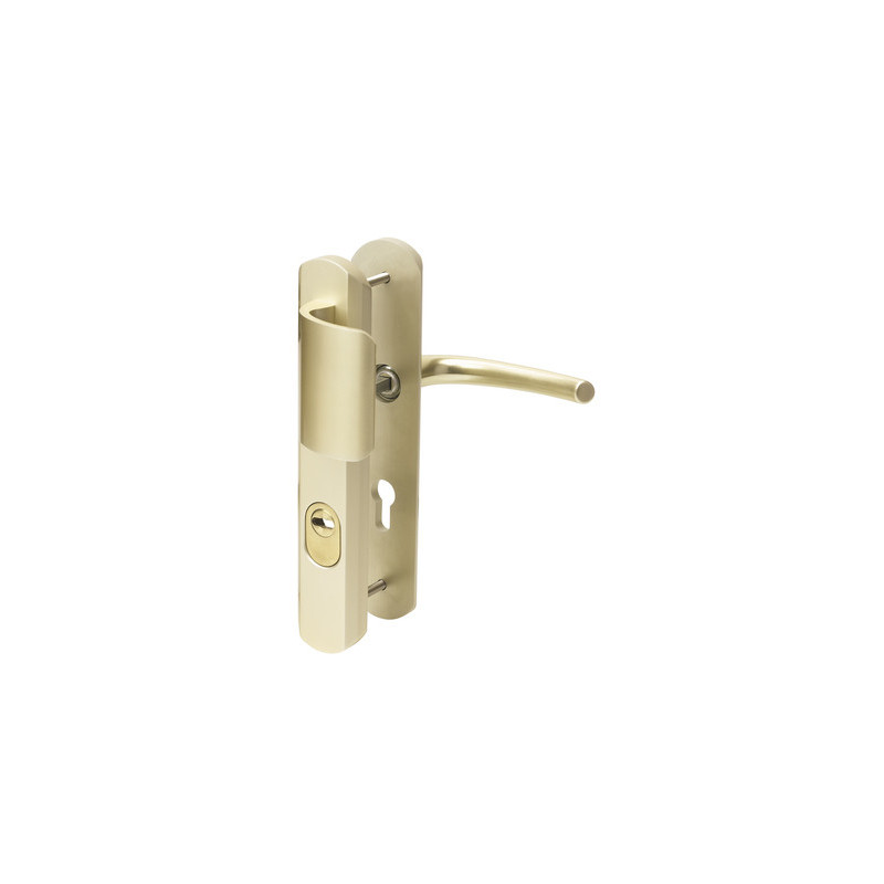 Ensemble sur plaque blindé à tirage EA195 SECUMAX - BEZAULT ASSA ABLOY