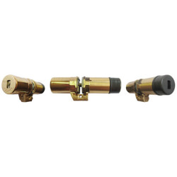 Cylindre monobloc doré A2P*** 787 - FICHET