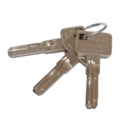 Cylindre européen double entrée C5X MULTIVIE - LINCE