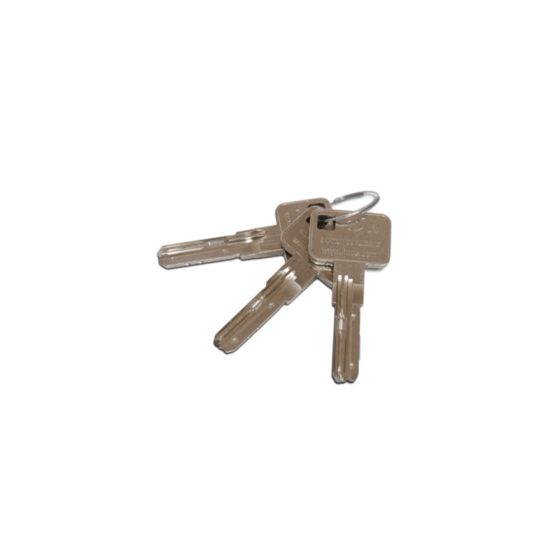 Cylindre européen double entrée C5X MULTIVIE - LINCE