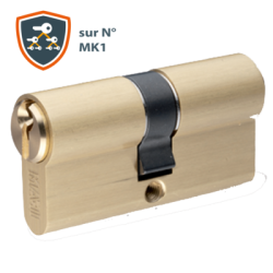 Cylindre de chantier européen double entrée F5S passe général MK1 laiton - IFAM - IFAM