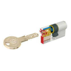 Cylindre européen double entrée WSM5 sur organigramme - CES