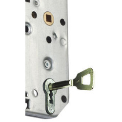 Adaptation pour D450 - VACHETTE ASSA ABLOY 
