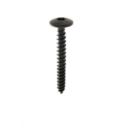 Vis penture TR torx tête large zingué noir - VISWOOD