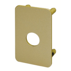 Contre plaque verrou - VACHETTE ASSA ABLOY