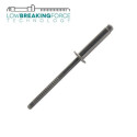 Rivet standard inox A2 tête plate BTD - SCELL IT