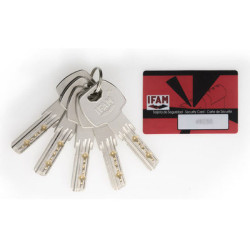 Cylindre européen double entrée débrayable F6S - IFAM