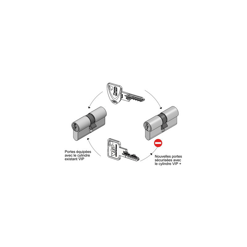 Demi-cylindre européen VIP+ sur organigramme - VACHETTE ASSA ABLOY