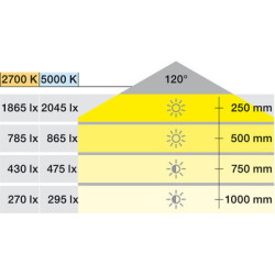 Bande 120 LED 5 mm Loox5 12V 4,8W 2060/2061 - HAFELE