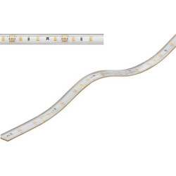 Bande 60 LED 8 mm Loox5 12V 2063 - HAFELE