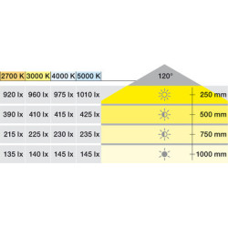 Bande 120 LED 8 mm Loox5 12V 4,8W 2065/2068 - HAFELE