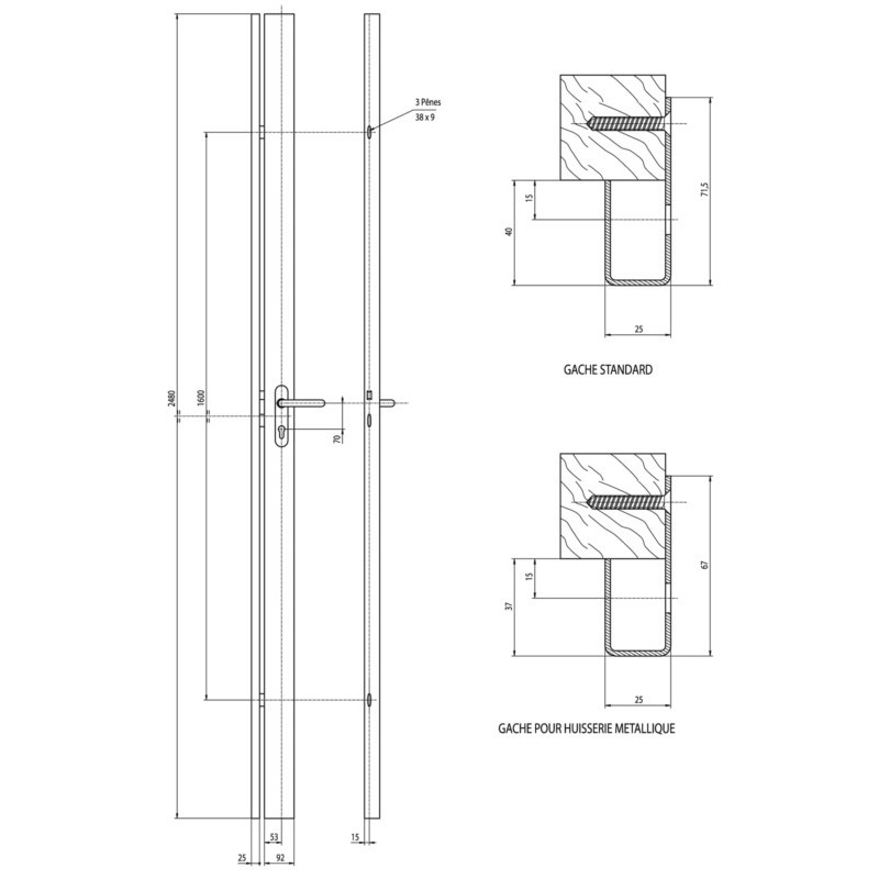 Serrure applique 3 points carénée à fouillot SECURIBLOC 30 - VACHETTE