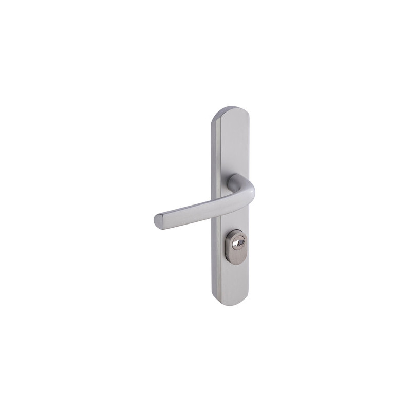 Ensemble sur plaque blindé EA195 SECUMAX ONE à béquille - VACHETTE