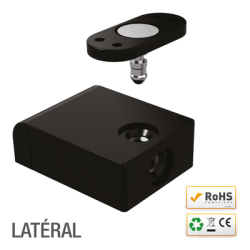 Verrou électrique miniature en applique 12-24V - IZYX