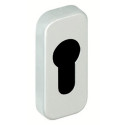 Rosace de propreté étroite bec de cane 6580 argent - VACHETTE