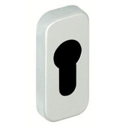 Rosace de propreté étroite bec de cane 6580 argent - VACHETTE