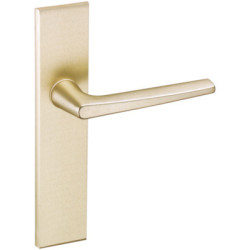 Ensemble sur plaque EA165 RIV JUNIOR - VACHETTE