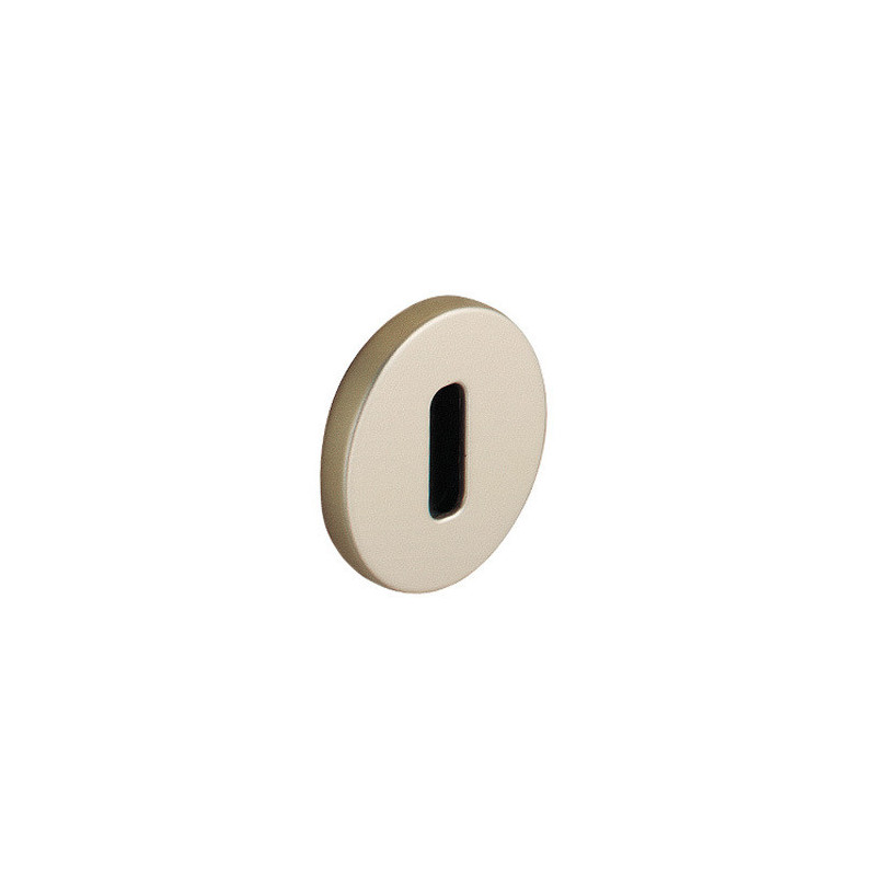 Jeu de 2 rosaces de propreté argent 6420 - VACHETTE