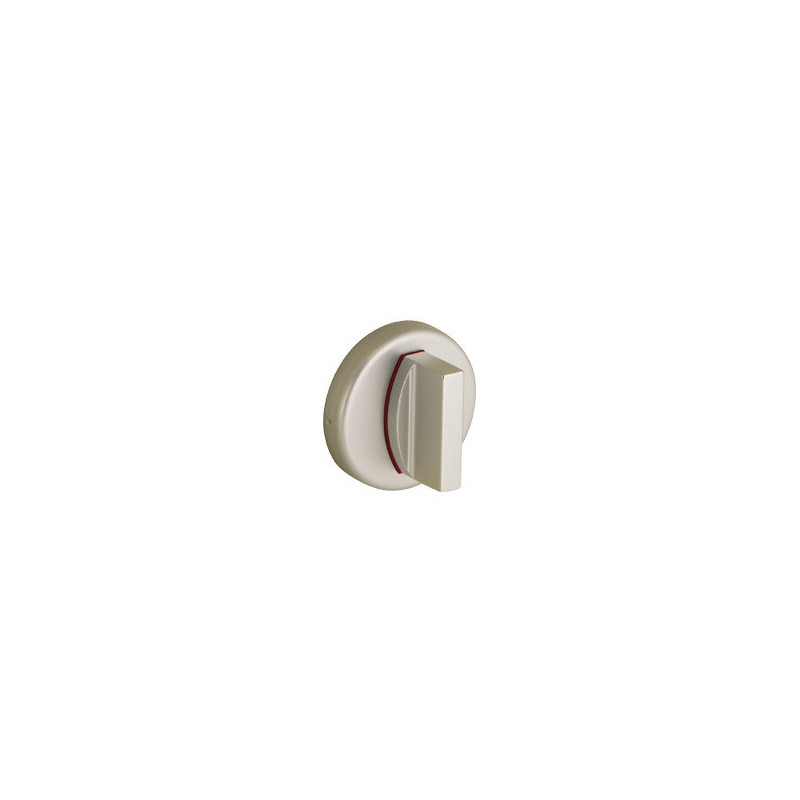 Jeu de 2 rosaces de propreté argent 6420 - VACHETTE