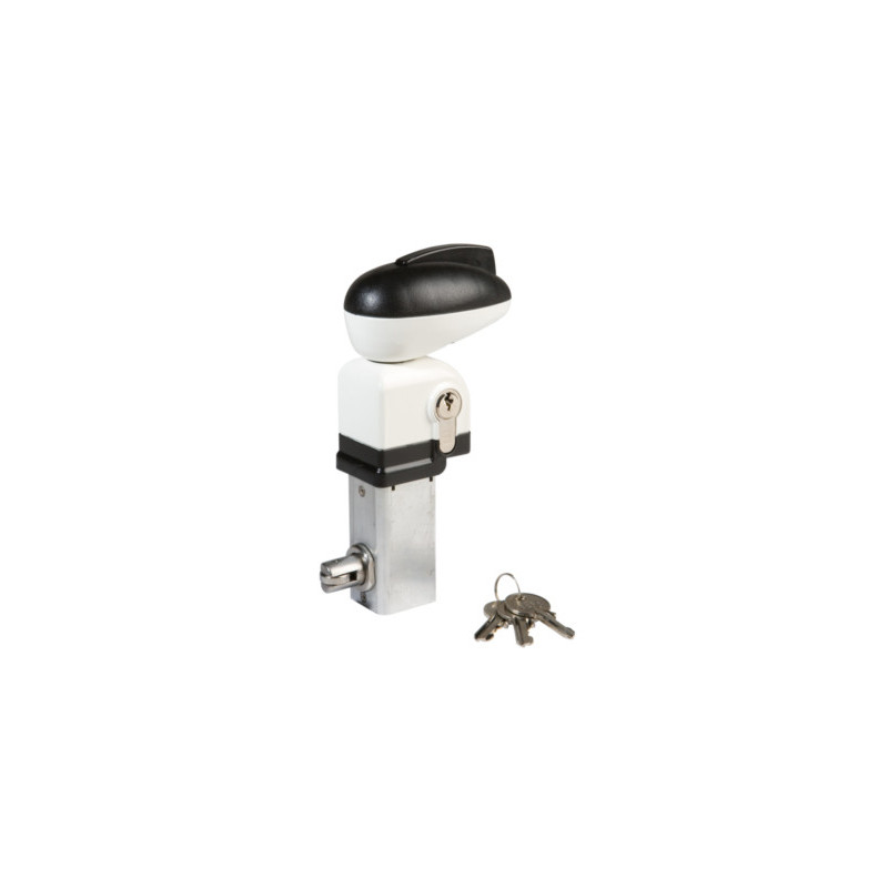 Serrure applique monopoint profil européen portillon piscine TWIST - LOCINOX