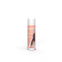 Nettoyant sec 150 ml AEXAMOUSSE SANS EAU - AEXALT