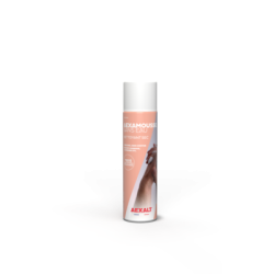 Nettoyant sec 150 ml AEXAMOUSSE SANS EAU - AEXALT