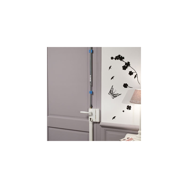 Serrure applique 3 points verticale à fouillot profil européen 73 STANDARD - BRICARD