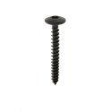 Vis penture TR torx tête large zingué noir - VISWOOD