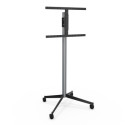 Support mobile ou fixe pour écrans 40" à 80" KANA1600XXL - ERARD