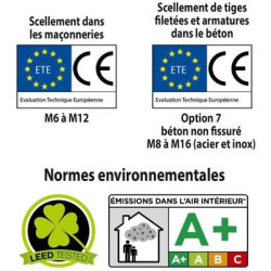 Résine NS 2 canules 300 ml - ING FIXATIONS