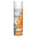 Mousse désinfectante 650 ml CLIMAEX - AEXALT
