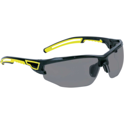 Lunettes polycarbonate à branches bimatière ASO2 - DELTA PLUS
