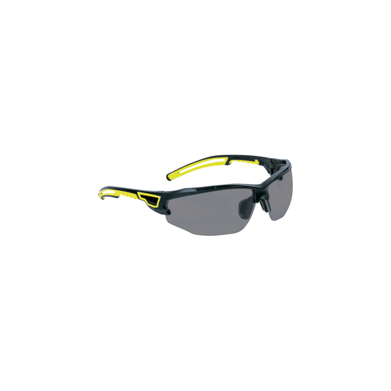 Lunettes polycarbonate à branches bimatière ASO2 - DELTA PLUS