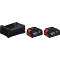 Pack de 2 batteries 18V 5AH LI-ION + chargeur 12-18V 80 GAL - BOSCH