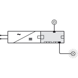Répartiteur à 6 voies Loox5 24V - HAFELE