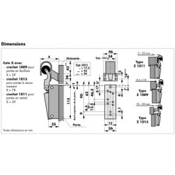 Amortisseur de porte ZF - SOREF DICTATOR