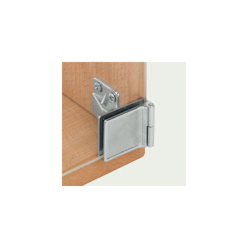 Charnière pour porte en verre pose en applique - HAFELE