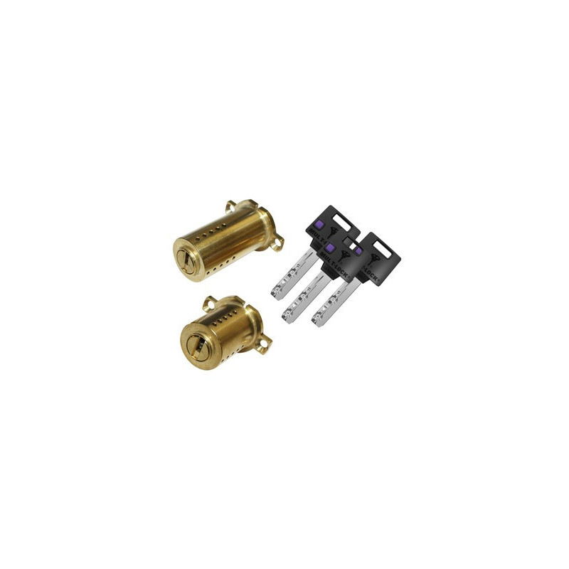 Cylindre adaptable double ent MTL400 CLASSIC PRO CHEBA - MUL-T-LOCK