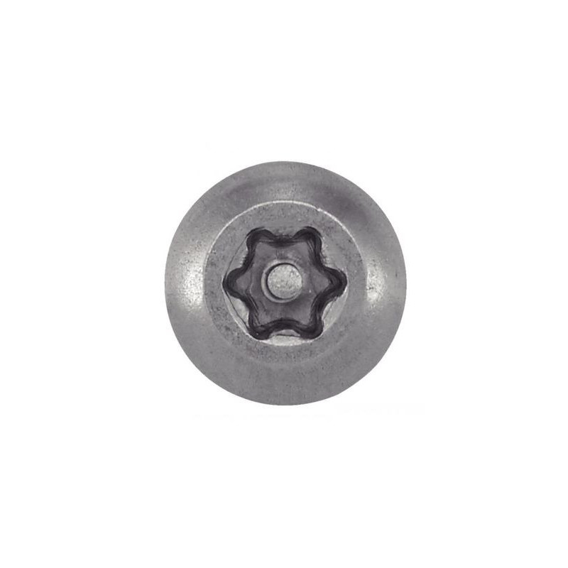 Vis tôle tête bombée inviolable TORX inox A2 - ACTON
