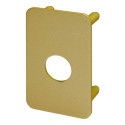 Contre-plaque verrou A2P* - POLLUX