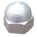 Écrou hexagonal borgne zingué blanc - VISWOOD