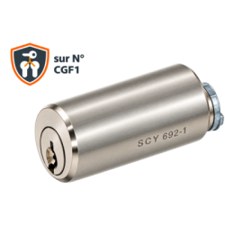 Cylindre pour bandeau 1306 longueur 40 mm sur numéro CGF1 - RONIS
