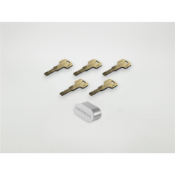 Cylindre européen à bouton modulaire à roue dentée Gerda EXXO SMART - TEDEE