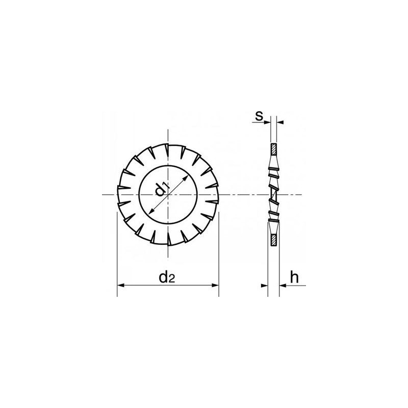Rondelle éventail inox A2 AZ - ACTON