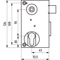 Serrure applique monopoint verticale à fouillot profil européen de grille - DEVISMES
