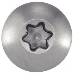 Vis penture tête large torx inox A2 - ACTON