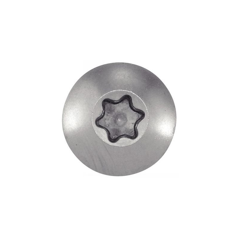 Vis penture tête large torx inox A2 - ACTON