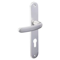 Ensemble sur plaque EA195 BUDGET argent - VACHETTE