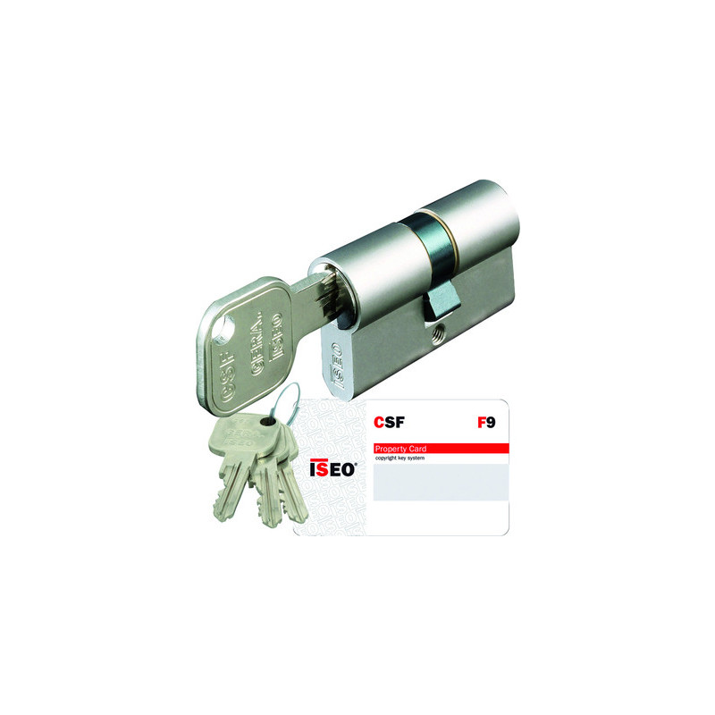 Cylindre européen double entrée F9- ISEO